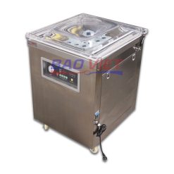 Hút chân không công nghiệp DZQ600 điện tử