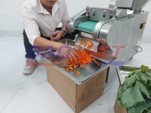 Cắt cà rốt với YQC-660