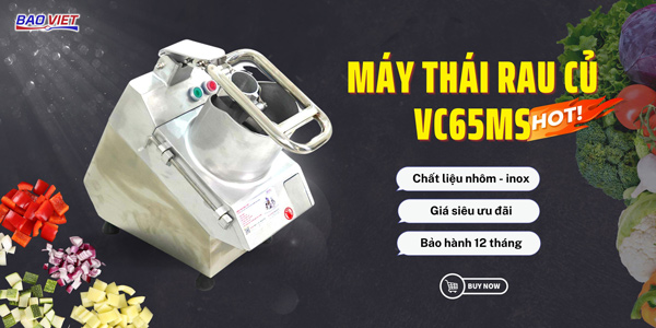 Giới thiệu VC65MS Bảo Việt