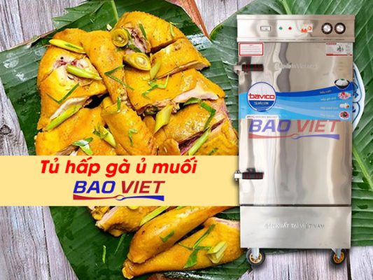 Tủ hấp gà ủ muối Bảo Việt