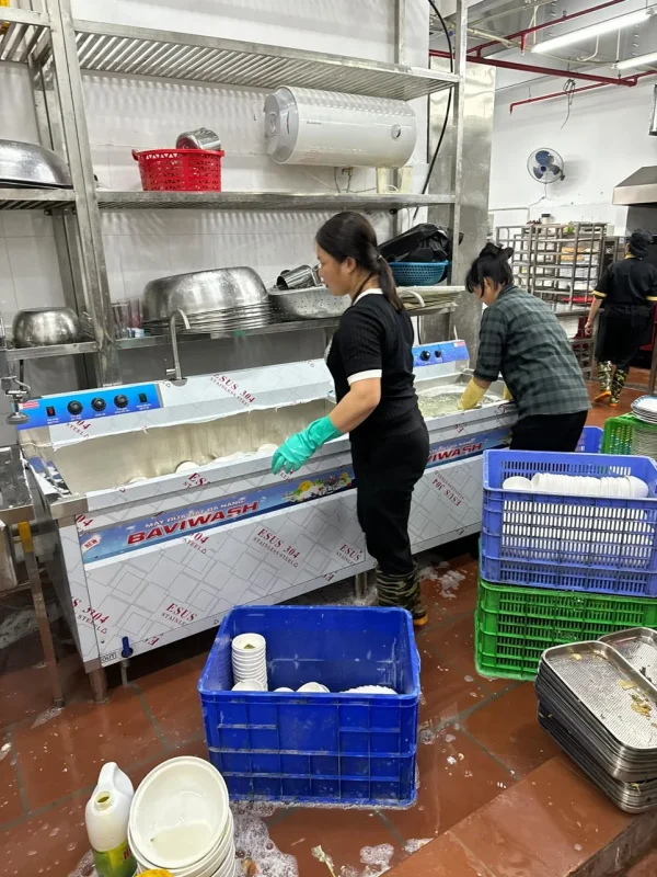 Trống Đồng Cảnh Hồ Baviwash 2400XD