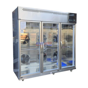 Tủ sấy gà vịt 3 cánh kính nhập khẩu